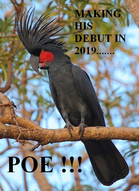 POE