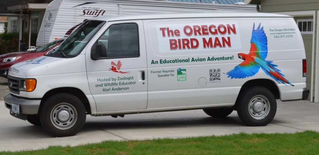Van New Graphics