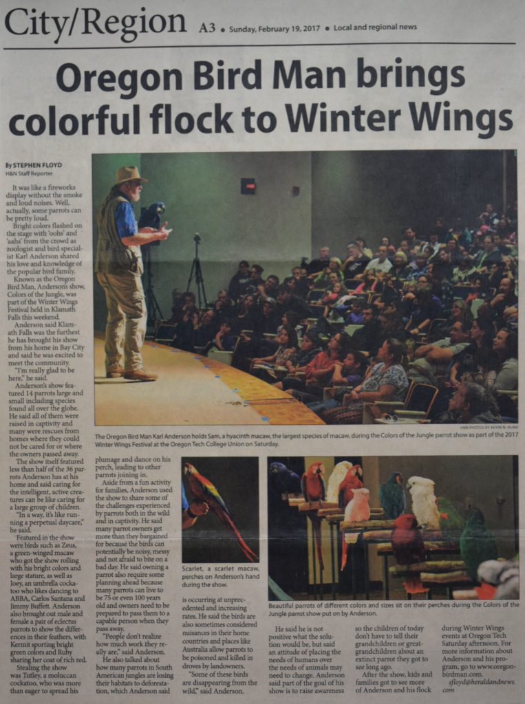 Winter Wings Article 2