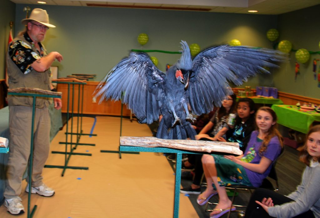JAI 5